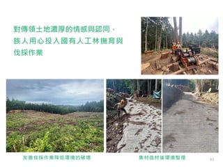 集材造材後環境整理
友善伐採作業降低環境的破壞
對傳領土地濃厚的情感與認同，
族人用心投入國有人工林撫育與
伐採作業
61
 