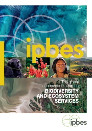 1
The global
assessment report on
BIODIVERSITY
AND ECOSYSTEM
SERVICES
 