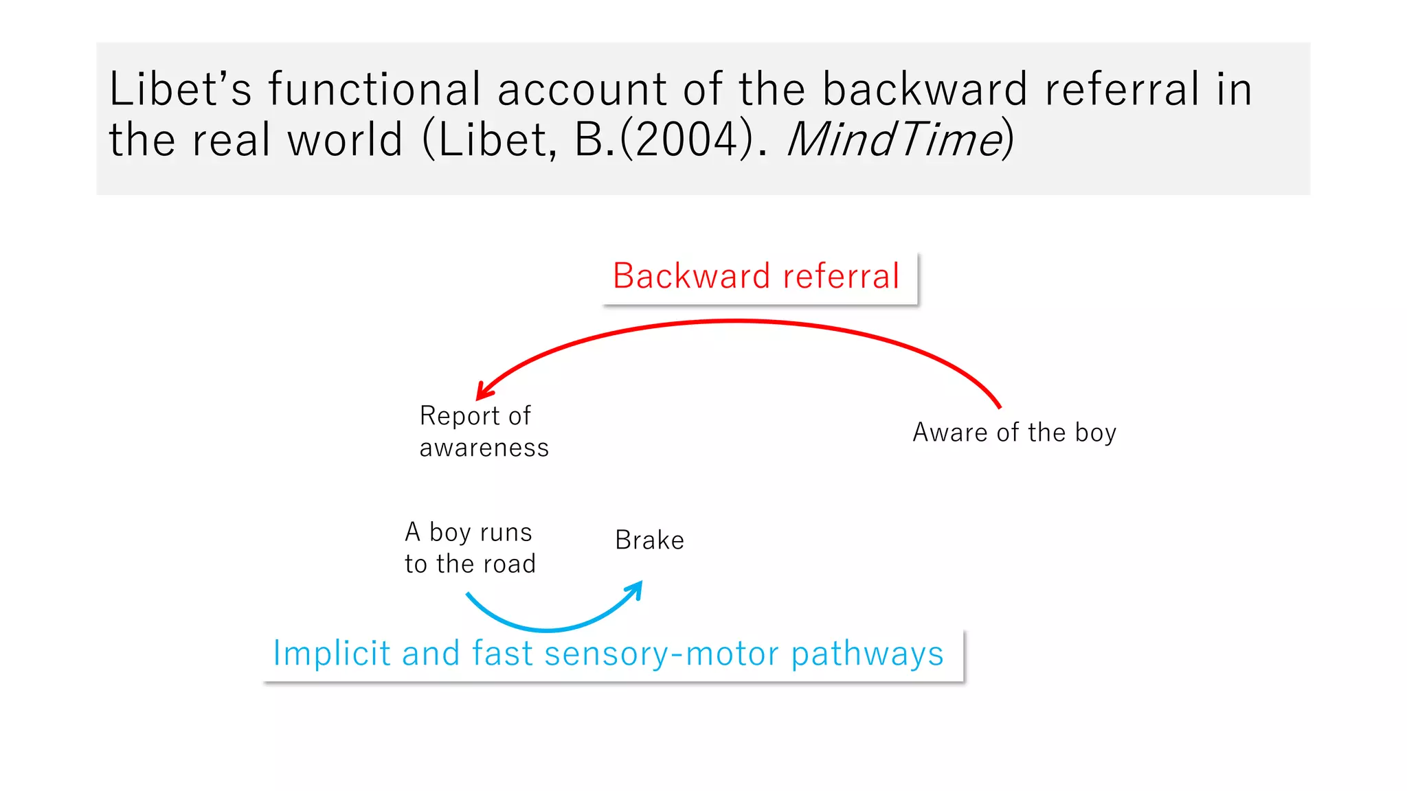 Libet’s functional account of the backward referral in
the real world (Libet, B.(2004). MindTime)
Implicit and fast sensory-motor pathways
A boy runs
to the road
Brake
Aware of the boy
Report of
awareness
Backward referral
 