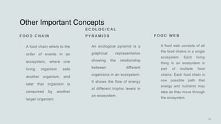 Other Important Concepts
  
 