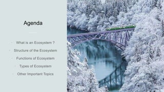 Agenda





 