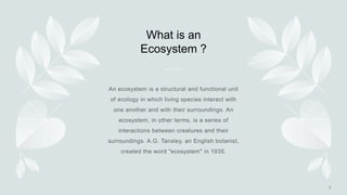 What is an
Ecosystem ?
 