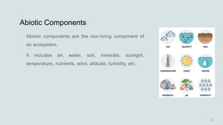 Abiotic Components


 