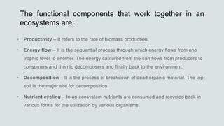 The functional components that work together in an
ecosystems are:
•
•
•
•
 