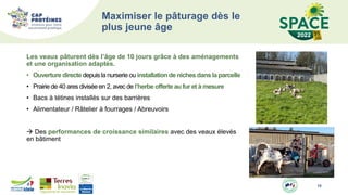 Maximiser le pâturage dès le
plus jeune âge
Les veaux pâturent dès l’âge de 10 jours grâce à des aménagements
et une organisation adaptés.
• Ouverture directe depuis la nurserie ou installationde niches dans la parcelle
• Prairie de 40 ares divisée en 2, avec de l’herbe offerte au fur et à mesure
• Bacs à tétines installés sur des barrières
• Alimentateur / Râtelier à fourrages / Abreuvoirs
 Des performances de croissance similaires avec des veaux élevés
en bâtiment
10
 