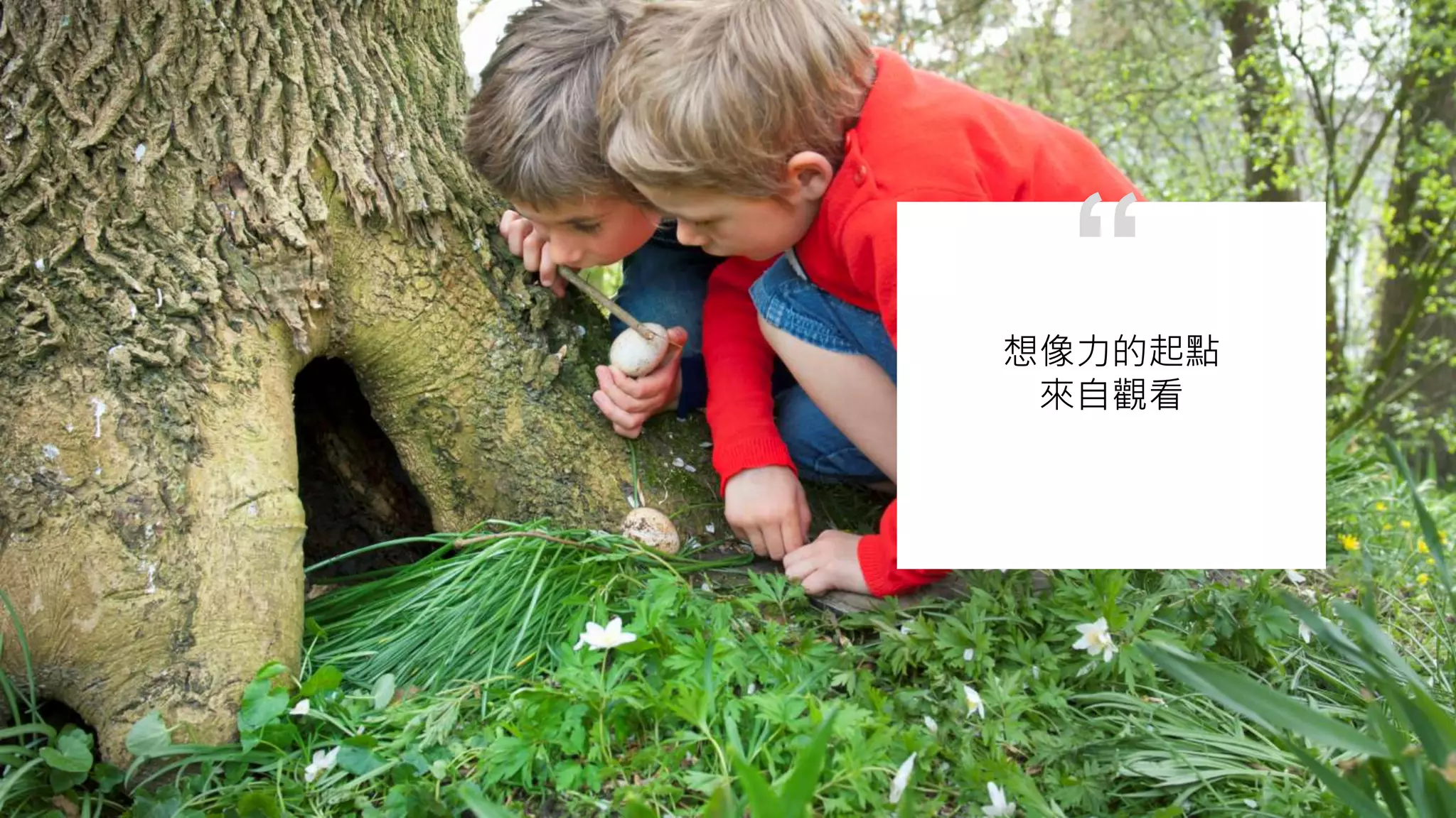 想像力的起點
來自觀看
“
 