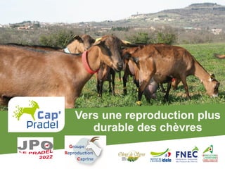 Vers une reproduction plus
durable des chèvres
 