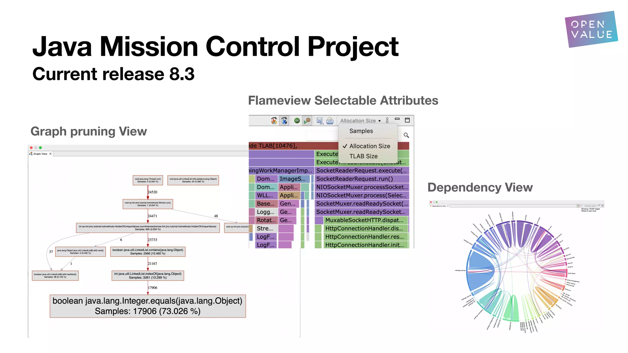 Java Mission Control Project
Current release 8.3
Dependency View
Graph pruning View
Flameview Selectable Attributes
 