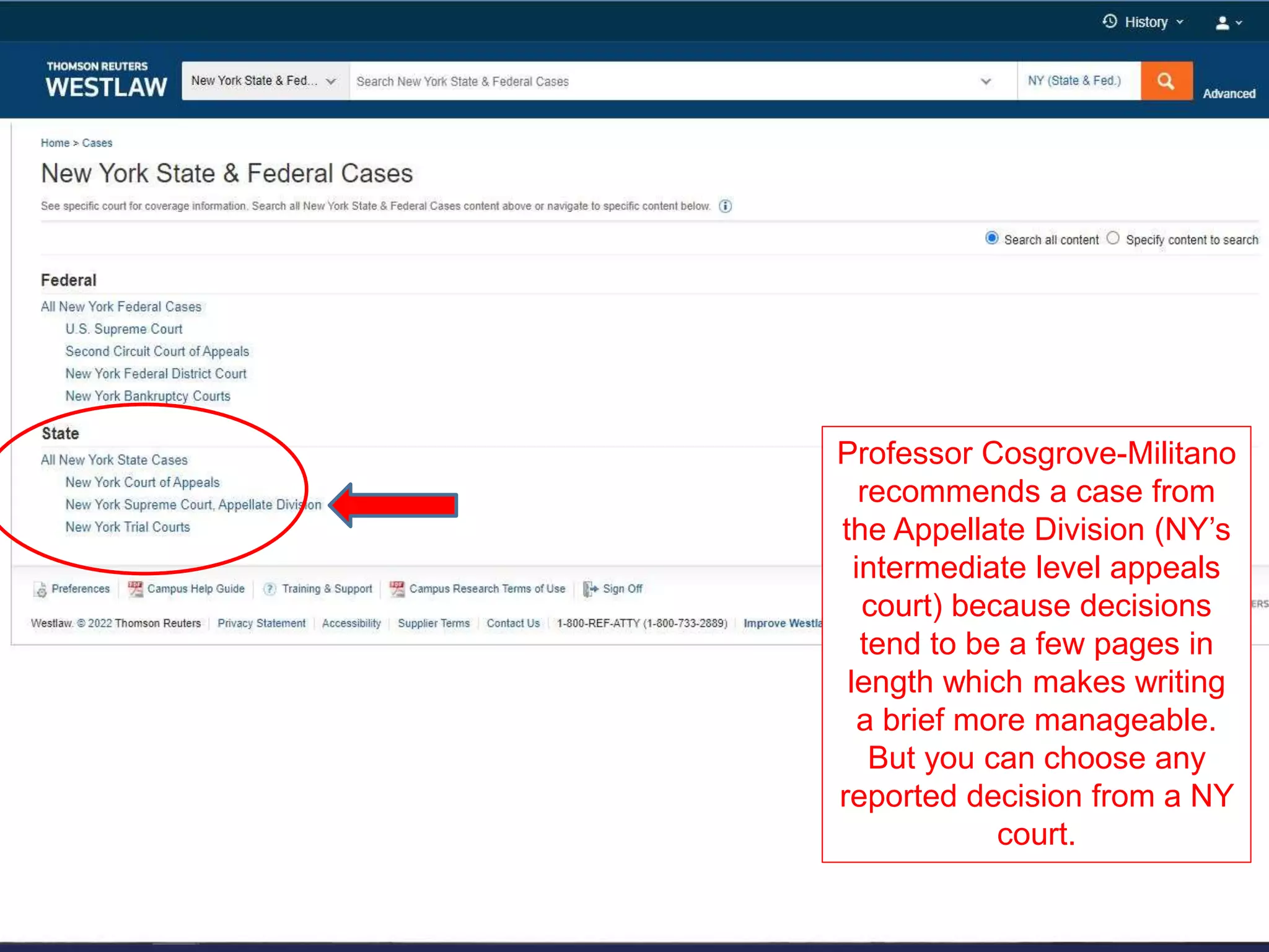 Professor Cosgrove-Militano
recommends a case from
the Appellate Division (NY’s
intermediate level appeals
court) because decisions
tend to be a few pages in
length which makes writing
a brief more manageable.
But you can choose any
reported decision from a NY
court.