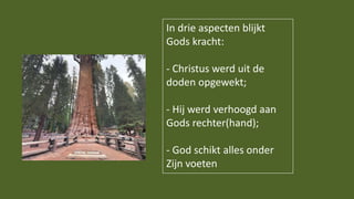 In drie aspecten blijkt
Gods kracht:
- Christus werd uit de
doden opgewekt;
- Hij werd verhoogd aan
Gods rechter(hand);
- God schikt alles onder
Zijn voeten
 