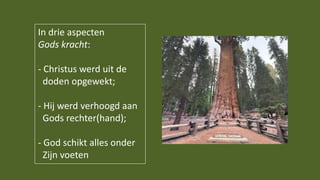 In drie aspecten
Gods kracht:
- Christus werd uit de
doden opgewekt;
- Hij werd verhoogd aan
Gods rechter(hand);
- God schikt alles onder
Zijn voeten
 