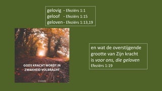 en wat de overstijgende
grootte van Zijn kracht
is voor ons, die geloven
Efeziërs 1:19
gelovig - Efeziërs 1:1
geloof - Efeziërs 1:15
geloven- Efeziërs 1:13,19
 