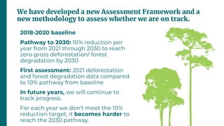 2023 Forest Declaration Assessment: Off track and falling behind - Forest  Declaration