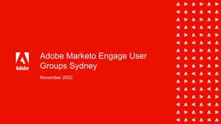 Adobe Marketo Engage User
Groups Sydney
November 2022
 