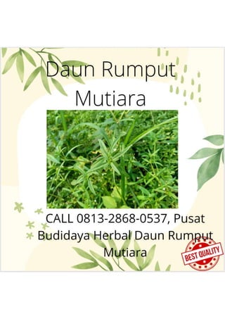 Daun 1 | PDF