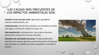 LAS CAUSAS MÁS FRECUENTES DE
LOS IMPACTOS AMBIENTALES SON:
Cambios en los usos del suelo: Agricultura, ganadería,
industria, deforestación, etc.
Contaminación: Emisión de sustancias a la atmósfera, vertidos
a las aguas, vertidos de residuos al suelo, etc.
Sobreexplotación: sobrepastoreo, caza y pesca abusivas,
extracciones masivas de recursos naturales.
Abandono de actividades humanas: Fundamentalmente
abandono de campos agrícolas y aprovechamiento de bosques
que al quedar sin cuidado son más susceptibles a incendios o
erosión.
 