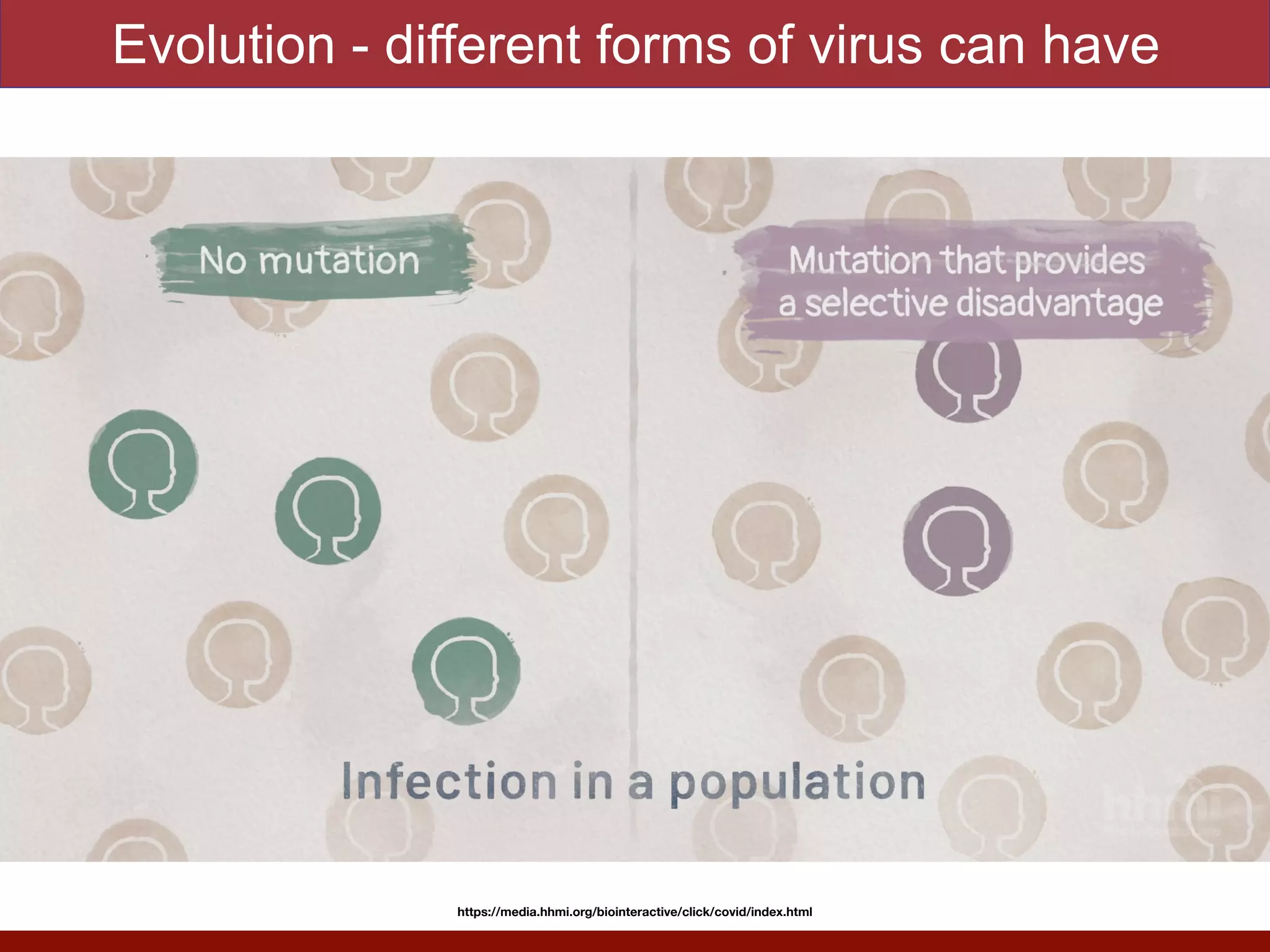 Evolution - different forms of virus can have
https://media.hhmi.org/biointeractive/click/covid/index.html
 