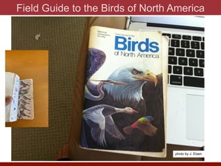 Field Guide to the Birds of North America
photo by J. Eisen
 