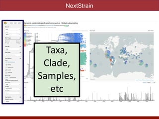 Taxa,
Clade,
Samples,
etc
NextStrain
 