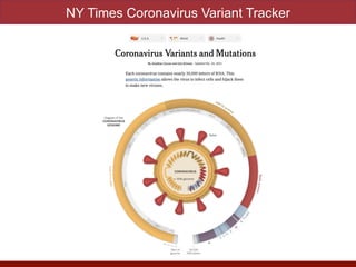NY Times Coronavirus Variant Tracker
 