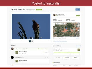 Posted to Inaturalist
 
