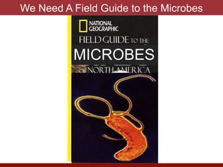 We Need A Field Guide to the Microbes
MICROBES
 
