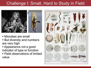 Challenge I: Small, Hard to Study in Field
• Microscope picture
• Microbes are small


• But diversity and numbers
are very high


• Appearance not a good
indicator of type or function


• Field observations of limited
value
 