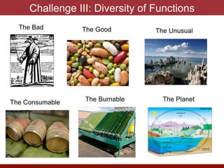 Challenge III: Diversity of Functions
The Bad The Good The Unusual
The Consumable The Burnable The Planet
 