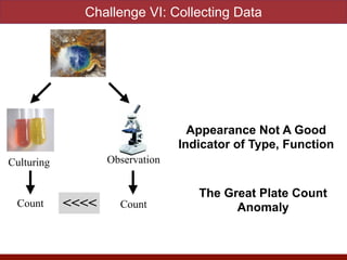 <<<<
Culturing Observation
Count Count
Challenge VI: Collecting Data
The Great Plate Count
Anomaly
Appearance Not A Good
Indicator of Type, Function
 
