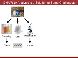 <<<<
Culturing Observation
Count Count
DNA/RNA Analysis is a Solution to Some Challenges
DNA
 