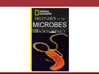MICROBES
 