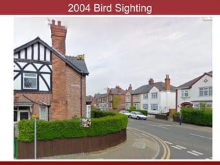 2004 Bird Sighting
photo by J. Eisen
 