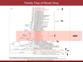 Family Tree of Novel Virus
NEW
https://www.thelancet.com/action/showPdf?pii=S0140-6736%2820%2930251-8
 