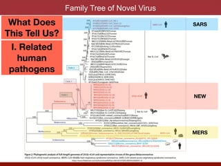 Family Tree of Novel Virus
SARS
MERS
NEW
What Does
This Tell Us?
I. Related
human
pathogens
https://www.thelancet.com/action/showPdf?pii=S0140-6736%2820%2930251-8
 