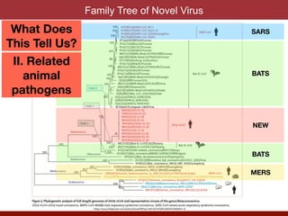 Family Tree of Novel Virus
SARS
MERS
NEW
BATS
BATS
What Does
This Tell Us?
II. Related
animal
pathogens
https://www.thelancet.com/action/showPdf?pii=S0140-6736%2820%2930251-8
 