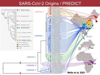 SARS-CoV-2 Origins / PREDICT
Wells et al. 2021
 