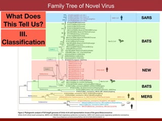 Family Tree of Novel Virus
SARS
MERS
NEW
BATS
BATS
What Does
This Tell Us?
III.
Classi
fi
cation
https://www.thelancet.com/action/showPdf?pii=S0140-6736%2820%2930251-8
 