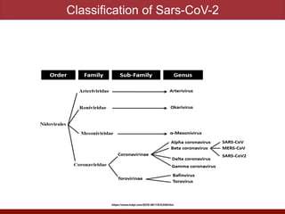 Classification of Sars-CoV-2
https://www.mdpi.com/2076-0817/9/3/240/htm
 