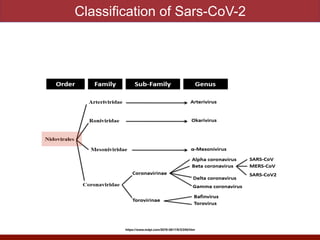 Classification of Sars-CoV-2
https://www.mdpi.com/2076-0817/9/3/240/htm
 