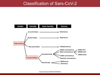 Classification of Sars-CoV-2
https://www.mdpi.com/2076-0817/9/3/240/htm
 