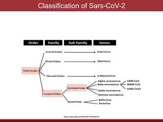 Classification of Sars-CoV-2
https://www.mdpi.com/2076-0817/9/3/240/htm
 