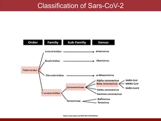 Classification of Sars-CoV-2
https://www.mdpi.com/2076-0817/9/3/240/htm
 