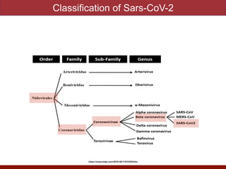 Classification of Sars-CoV-2
https://www.mdpi.com/2076-0817/9/3/240/htm
 