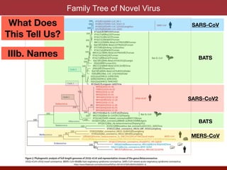 Family Tree of Novel Virus
SARS-CoV
MERS-CoV
SARS-CoV2
BATS
BATS
What Does
This Tell Us?
IIIb. Names
https://www.thelancet.com/action/showPdf?pii=S0140-6736%2820%2930251-8
 