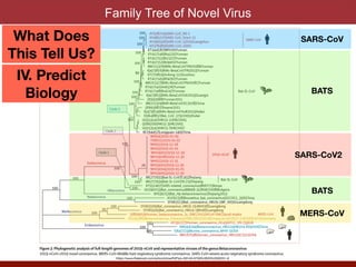 Family Tree of Novel Virus
SARS-CoV
MERS-CoV
SARS-CoV2
BATS
BATS
What Does
This Tell Us?
IV. Predict
Biology
https://www.thelancet.com/action/showPdf?pii=S0140-6736%2820%2930251-8
 