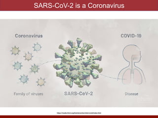 SARS-CoV-2 is a Coronavirus
https://media.hhmi.org/biointeractive/click/covid/index.html
 
