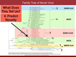Family Tree of Novel Virus
SARS-CoV
MERS-CoV
SARS-CoV2
BATS
BATS
What Does
This Tell Us?
V. Predict
Novelty
https://www.thelancet.com/action/showPdf?pii=S0140-6736%2820%2930251-8
 