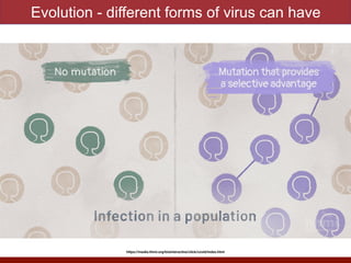 Evolution - different forms of virus can have
https://media.hhmi.org/biointeractive/click/covid/index.html
 