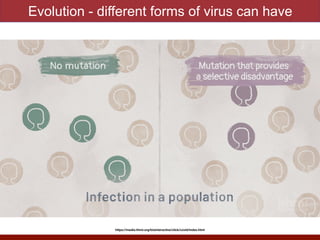 Evolution - different forms of virus can have
https://media.hhmi.org/biointeractive/click/covid/index.html
 