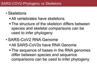 • Skeletons


!All vertebrates have skeletons


!The structure of the skeleton differs between
species and skeletal comparisons can be
used to infer phylogeny


• SARS-CoV2 RNA Genome


!All SARS-CoV2s have RNA Genome


!The sequence of bases in the RNA genomes
differ between species and sequence
comparisons can be used to infer phylogeny
SARS-COV2-Phylogeny vs Skeletons
 